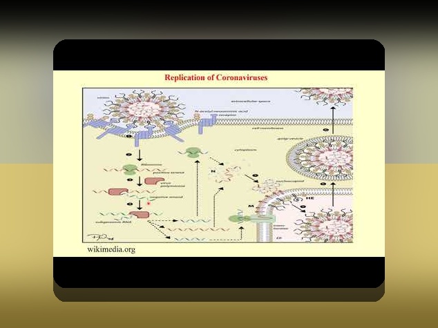 درس بحران covid چیست؟ راهنمای گام به گام برای فهم و به‌کارگیری درس بحران covid در زندگی ایرانیان